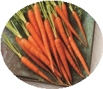 Carrots: Tracing this Vegetable's Roots | Food & Nutrition Magazine |  Volume 9, Issue 1